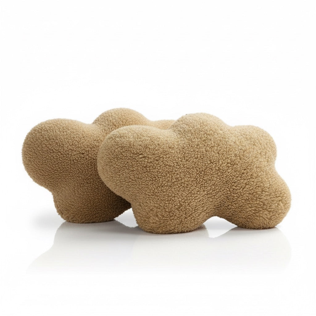 Dreamy Cloud Bouclé Accent Pillow, Including Core. (2-Pack)